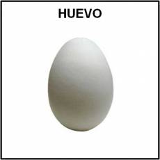 HUEVO - Foto