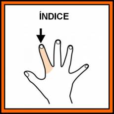 ÍNDICE (DEDO) - Pictograma (color)