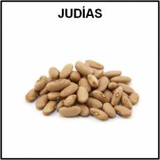 JUDÍAS (LEGUMBRES) - Foto