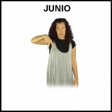 JUNIO - Signo