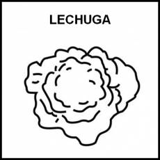 LECHUGA - Pictograma (blanco y negro)