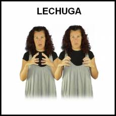 LECHUGA - Signo