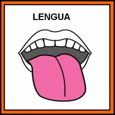LENGUA - Pictograma (color)
