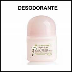 DESODORANTE - Foto