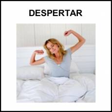 DESPERTAR - Foto