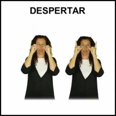 DESPERTAR - Signo