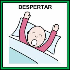 DESPERTAR - Pictograma (color)