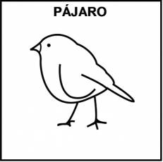 PÁJARO - Pictograma (blanco y negro)