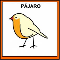 PÁJARO - Pictograma (color)