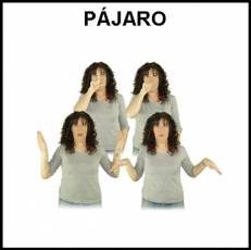 PÁJARO - Signo