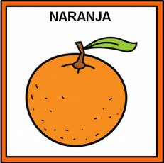 NARANJA (FRUTA) - Pictograma (color)