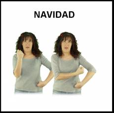 NAVIDAD - Signo