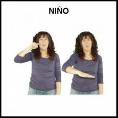NIÑO - Signo