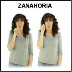 ZANAHORIA - Signo