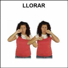 LLORAR - Signo