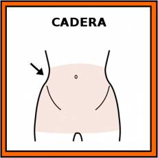 CADERA - Pictograma (color)