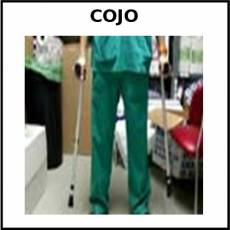 COJO - Foto