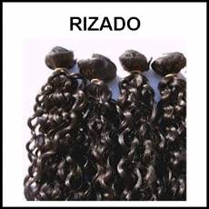 RIZADO - Foto