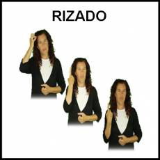 RIZADO - Signo