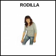 RODILLA - Signo