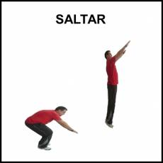 SALTAR - Foto