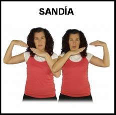 SANDÍA - Signo