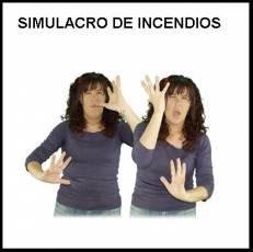 SIMULACRO DE INCENDIOS - Signo