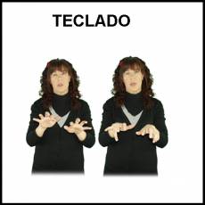 TECLADO (ORDENADOR) - Signo