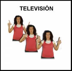 TELEVISIÓN - Signo