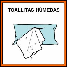 TOALLITAS HÚMEDAS - Pictograma (color)