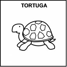 TORTUGA - Pictograma (blanco y negro)