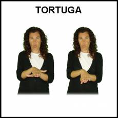 TORTUGA - Signo