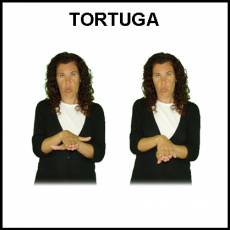 TORTUGA - Signo