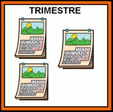 TRIMESTRE - Pictograma (color)
