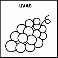 UVAS - Pictograma (blanco y negro)