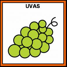 UVAS - Pictograma (color)