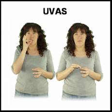UVAS - Signo