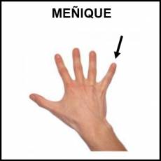 MEÑIQUE - Foto