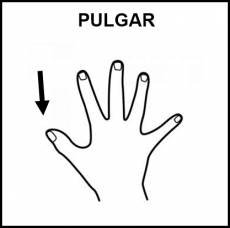 PULGAR - Pictograma (blanco y negro)
