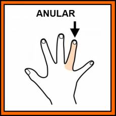 ANULAR (DEDO) - Pictograma (color)