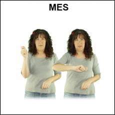 MES - Signo
