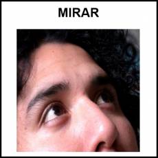 MIRAR - Foto