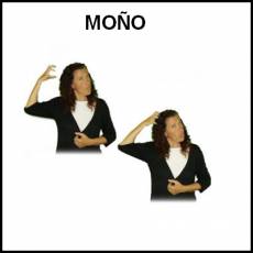 MOÑO - Signo