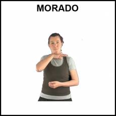 MORADO (COLOR) - Signo