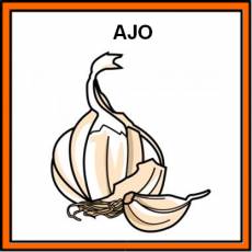 AJO - Pictograma (color)