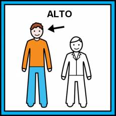 ALTO - Pictograma (color)