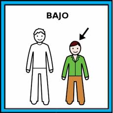 BAJO - Pictograma (color)