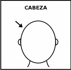 CABEZA - Pictograma (blanco y negro)