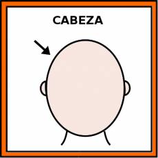CABEZA - Pictograma (color)