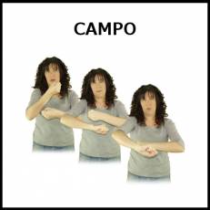 CAMPO - Signo